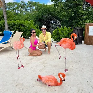 Apartamento Bavaro Suites Pool, Punta Cana